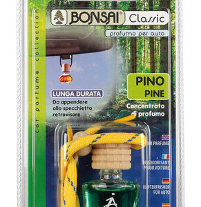 Bonsai Classic – Pino