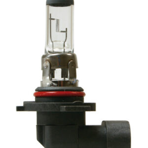 12V Lampada alogena – H10 – 42W – PY20d – 1 pz  – Scatola