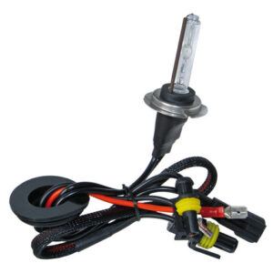 12/24V Lampadina HID Xenon 4.300K – H7 – 1 pz  – Scatola